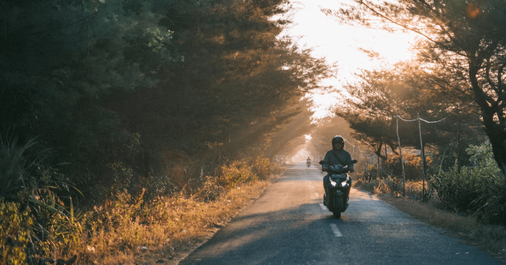 A scooter rider travels a forest-lined road as the setting sun casts a soft, warm light through