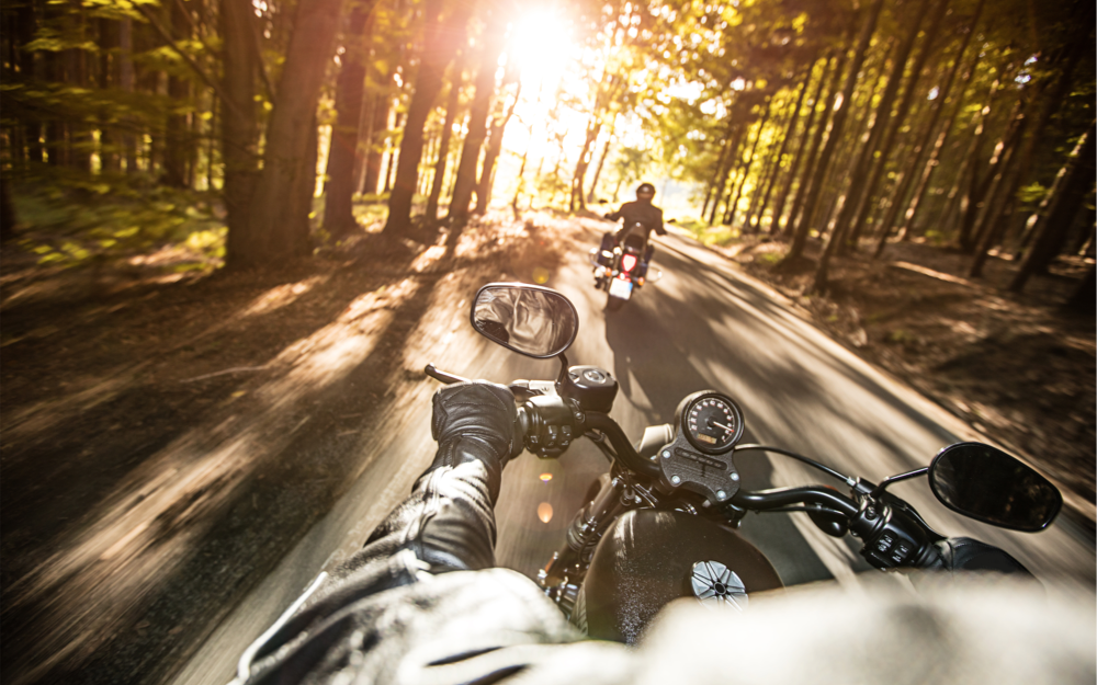 A motorcycle rider riding down a forest road, with another biker ahead