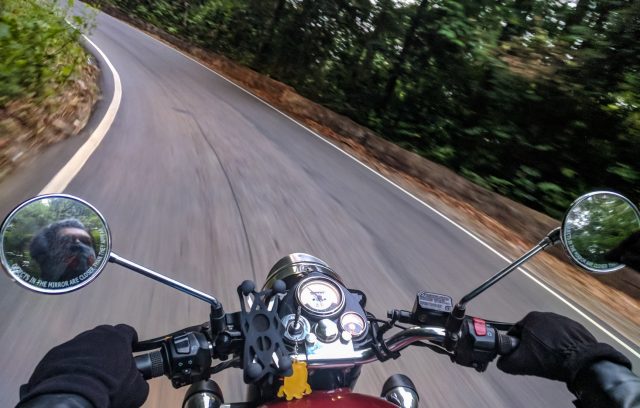 First-person view of a motorcyclist riding on a winding road through a forest, reflection visible in side mirrors.